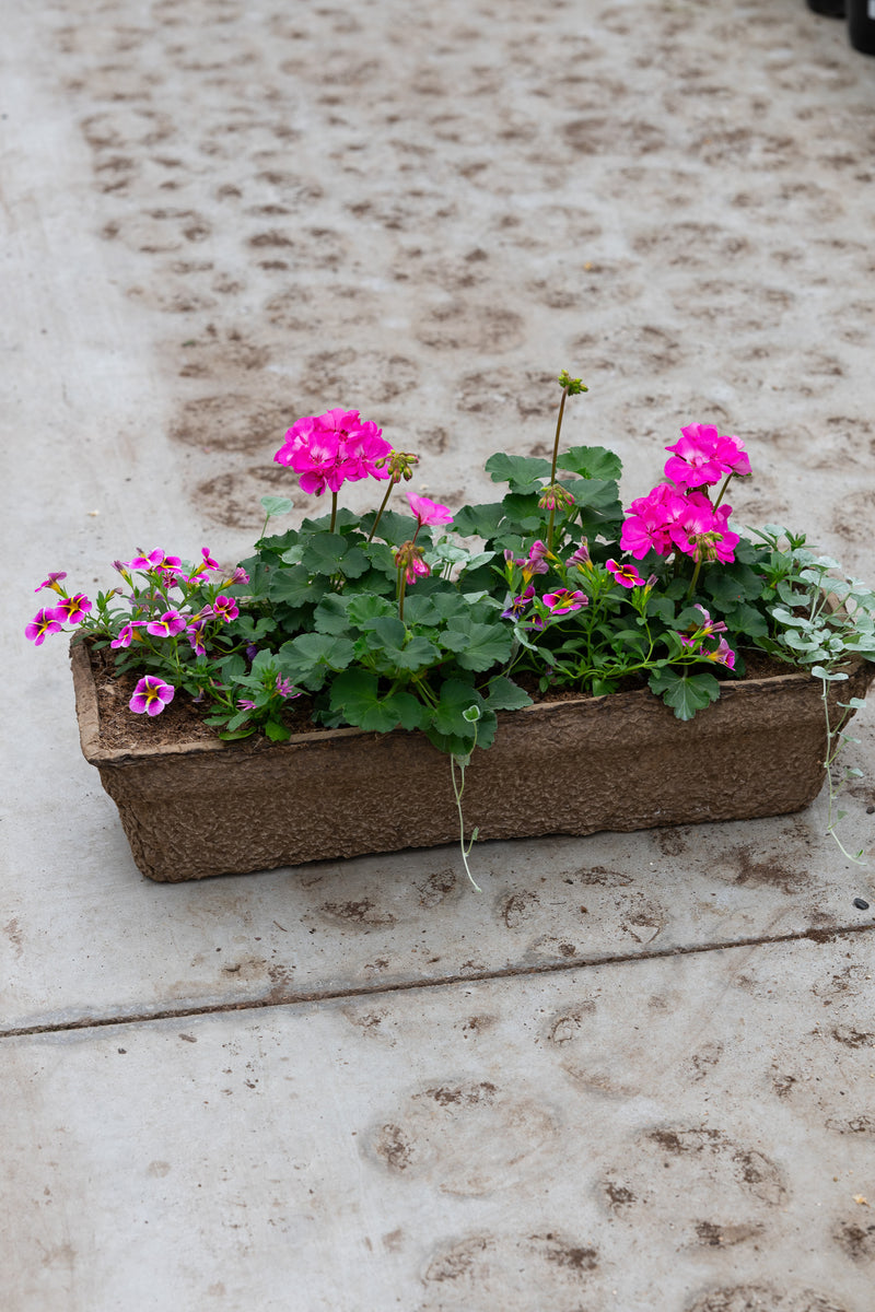 24" Premium Fibre Window Box – Pink Pop Sun Mix