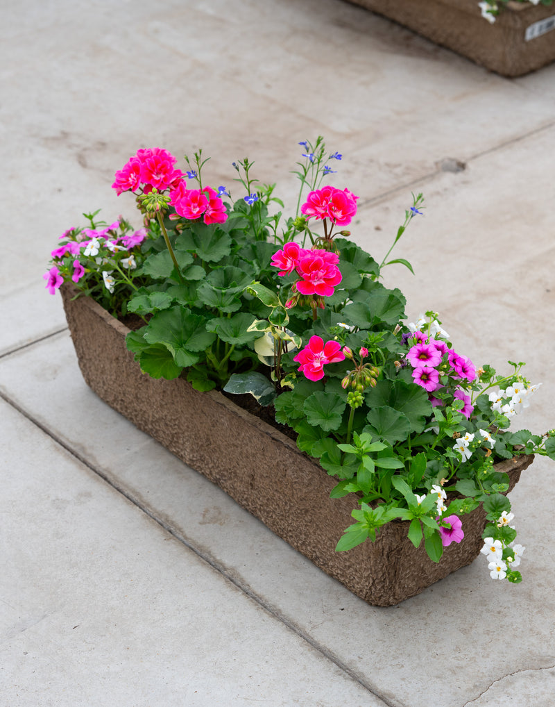 24" Premium Fibre Window Box – Pink Breeze Sun Mix