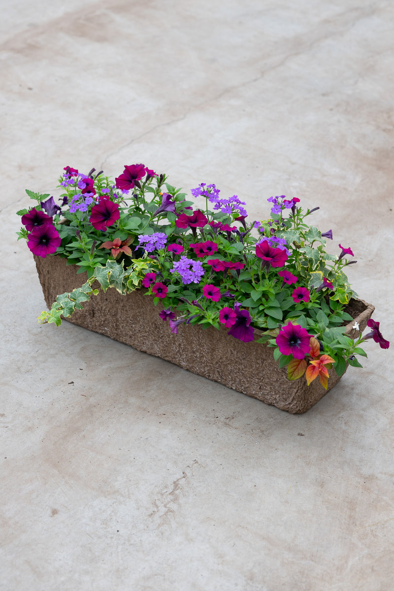 24" Premium Fibre Window Box – Midnight Magic Sun Mix