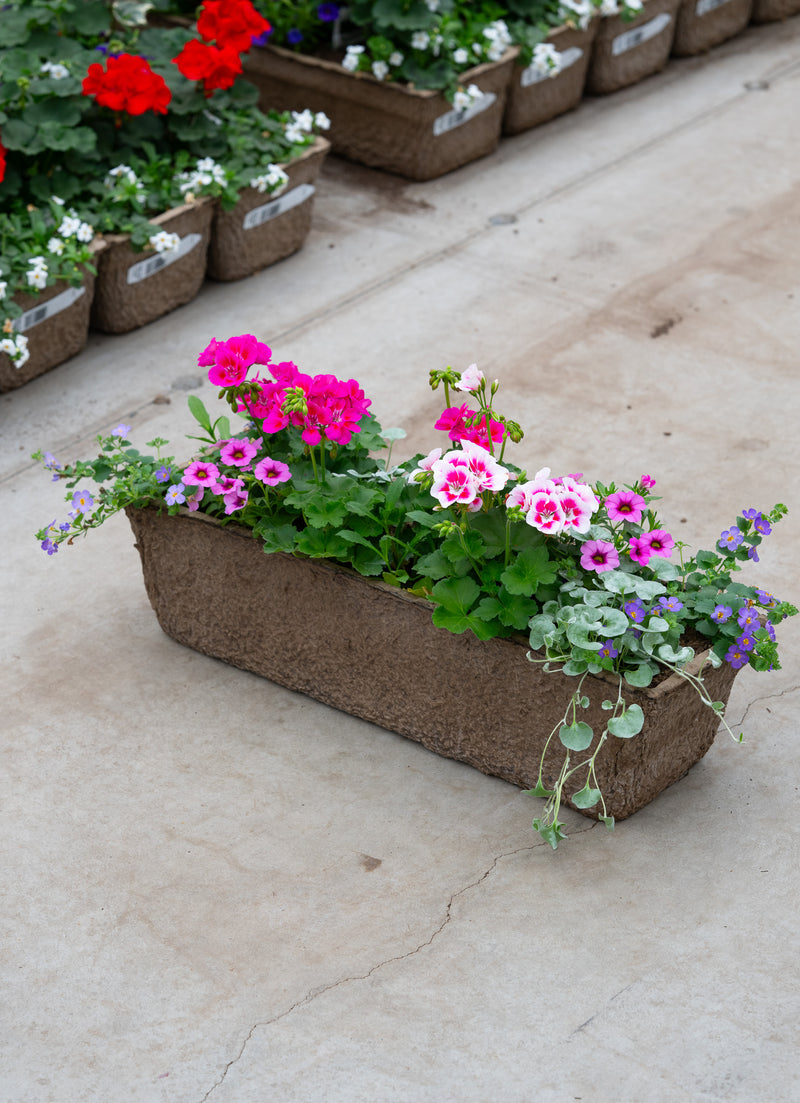 24" Premium Fibre Window Box – Pink Blush Sun Mix