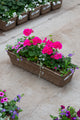 24" Premium Fibre Window Box – Hot Pink Sun Mix