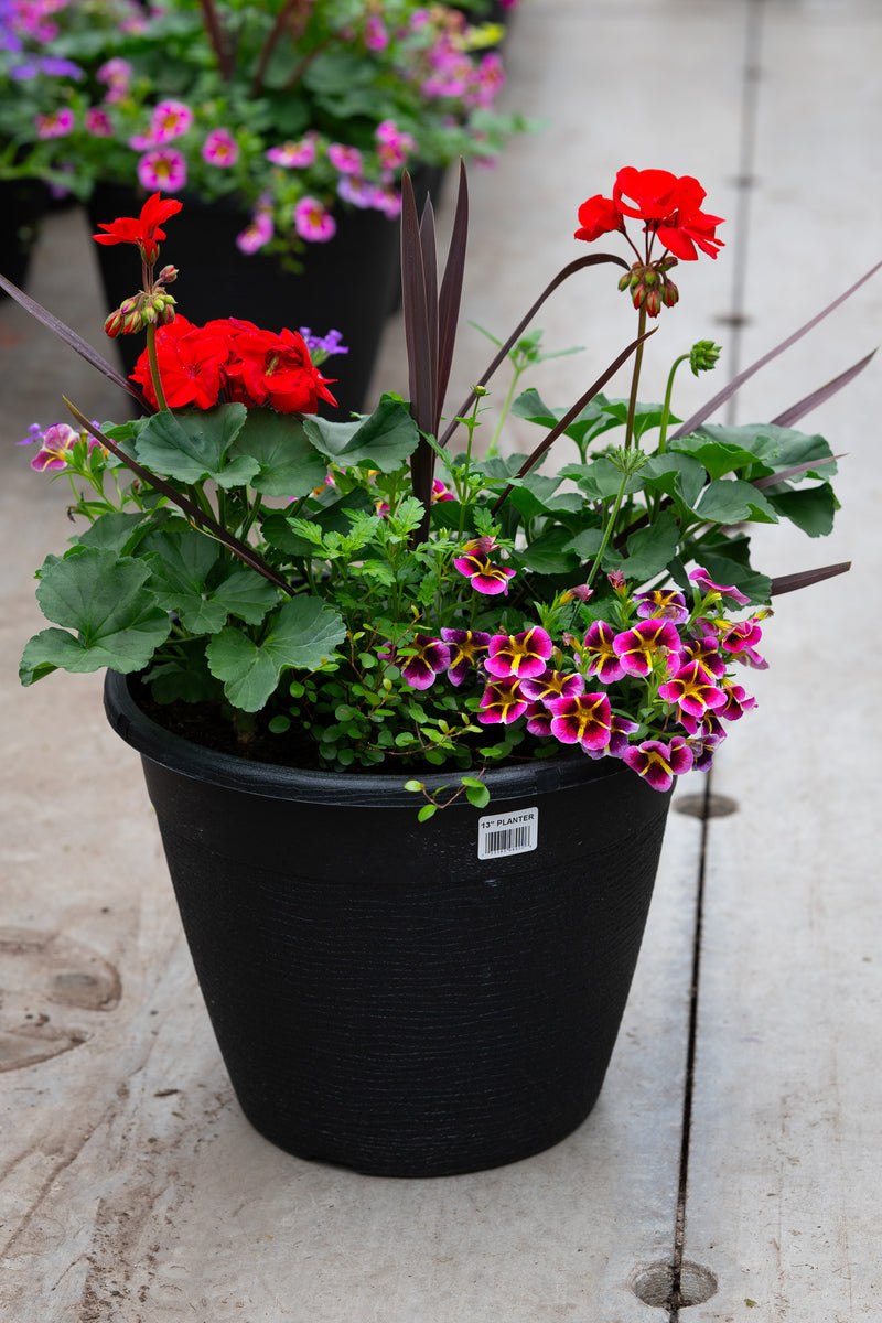 13" Round Premium Sun Planter – Carnival Blaze Mix