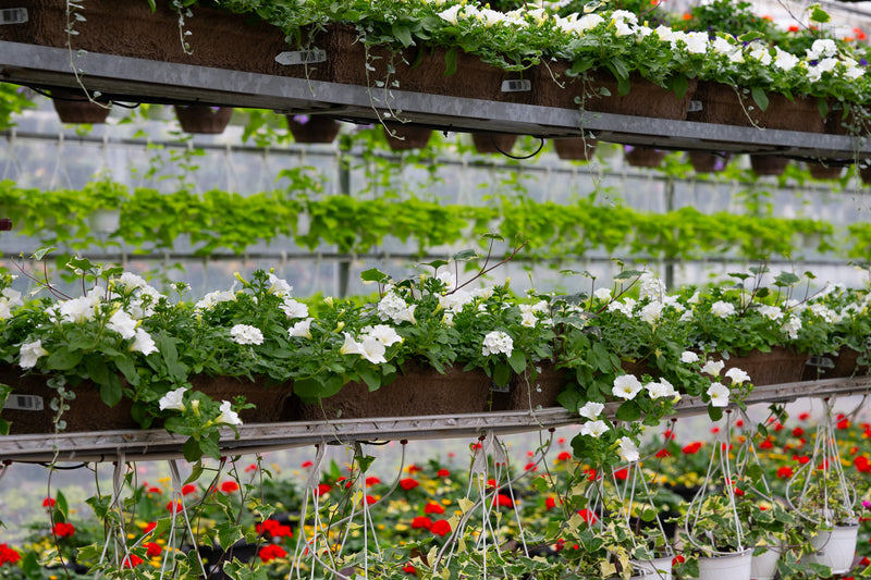 24" Premium Fibre Window Box – Snow Crystal Mix