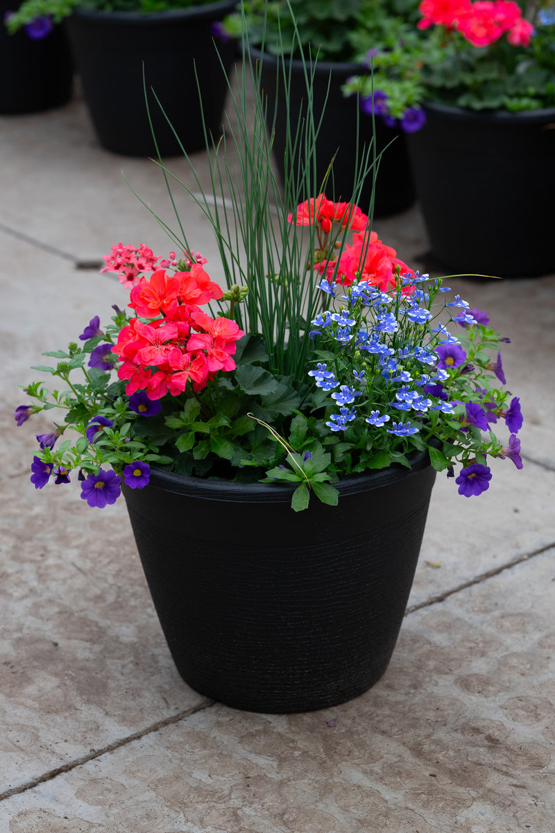 13" Premium Sun Round Planter – Coral Sky Mix