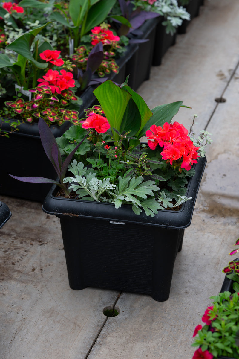 14" Premium Sun Patio Pot Mix – Tropical Heat Mix