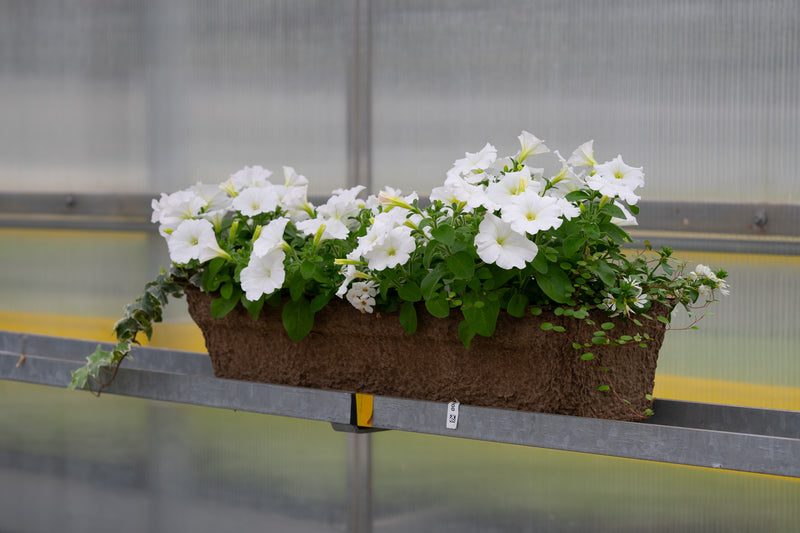 24" Premium Fibre Window Box – Snowfall Elegance Mix