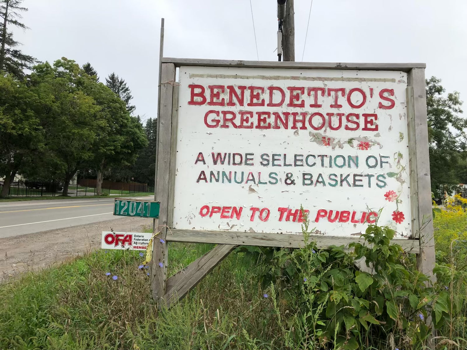 Image with text section