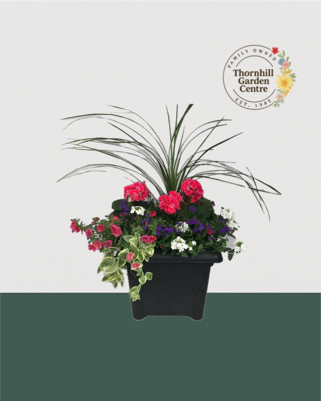 14" Square Premium Mixed Sun Planter - Pink & Plum Cascade