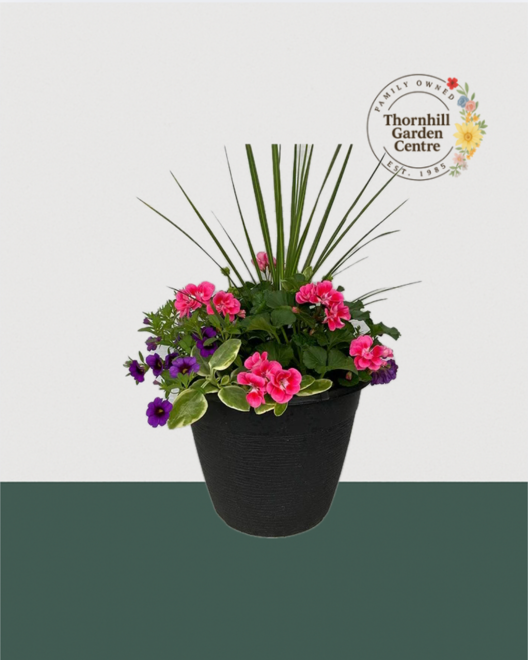 13" Round Premium Sun Mixed Planter – Rose & Plum Accent