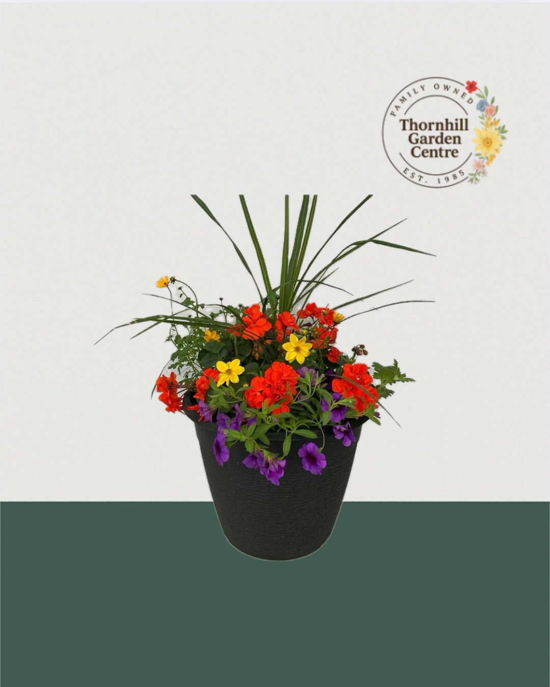 13" Round Premium Sun Mixed Planter – Citrus Fiesta