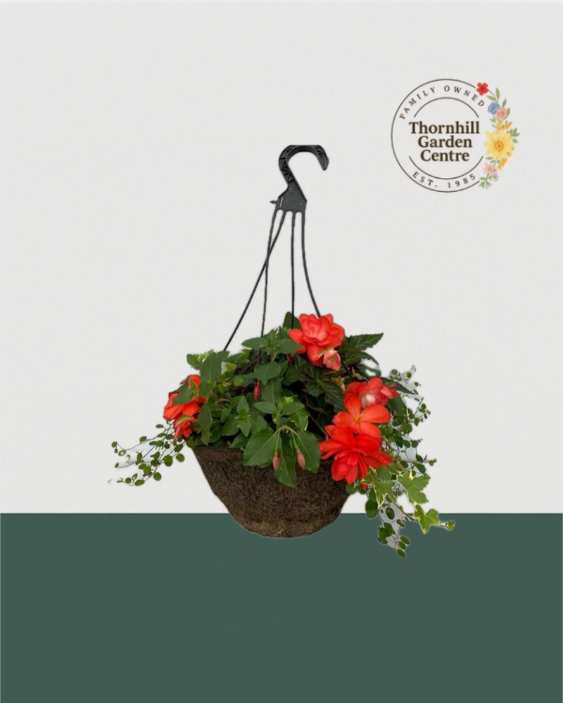 12" Fibre Premium Mixed Shade Hanging Baskets - Whiskey Mix