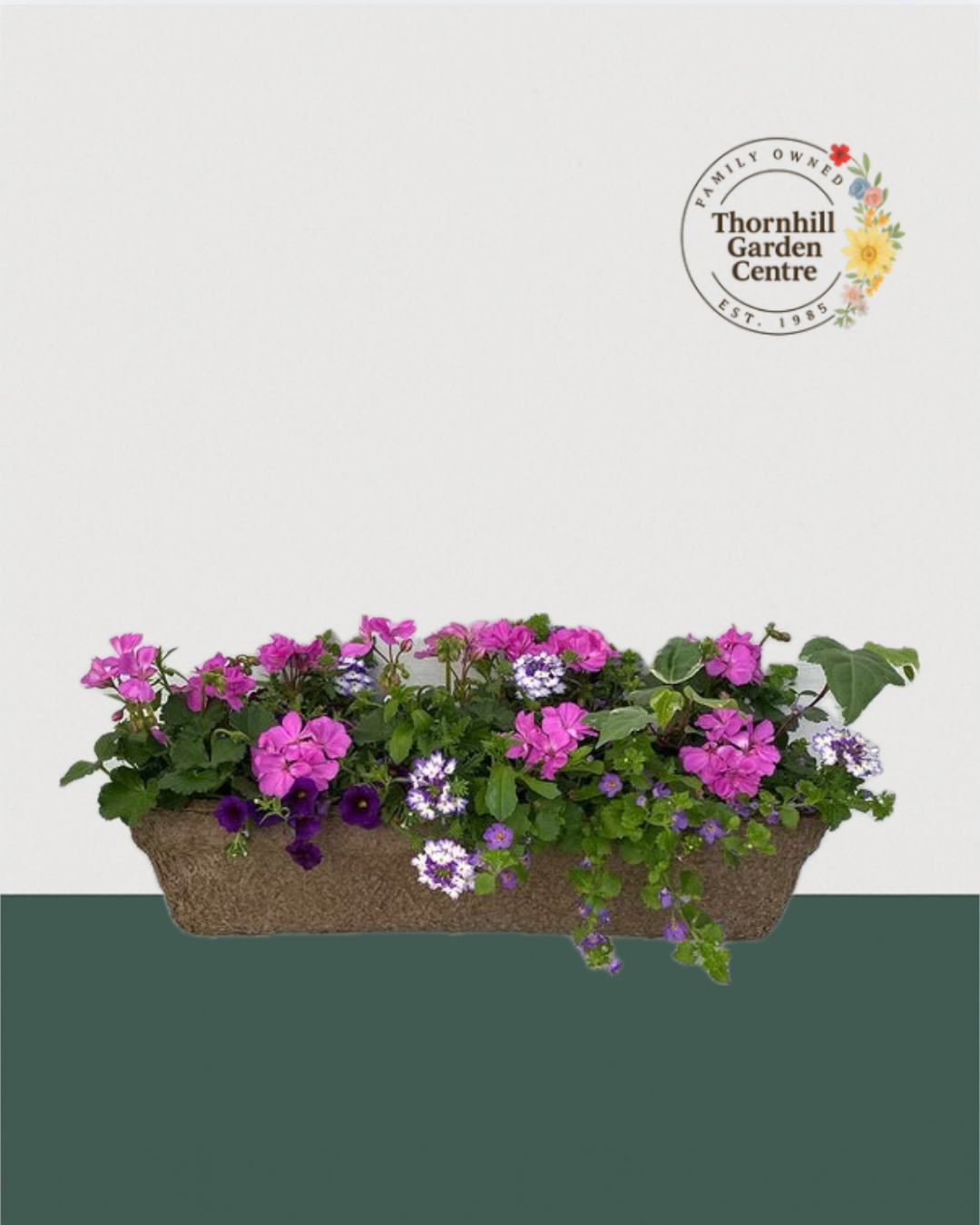 24" Fibre Premium Mixed Sun Window Box - Pink Splash Mix