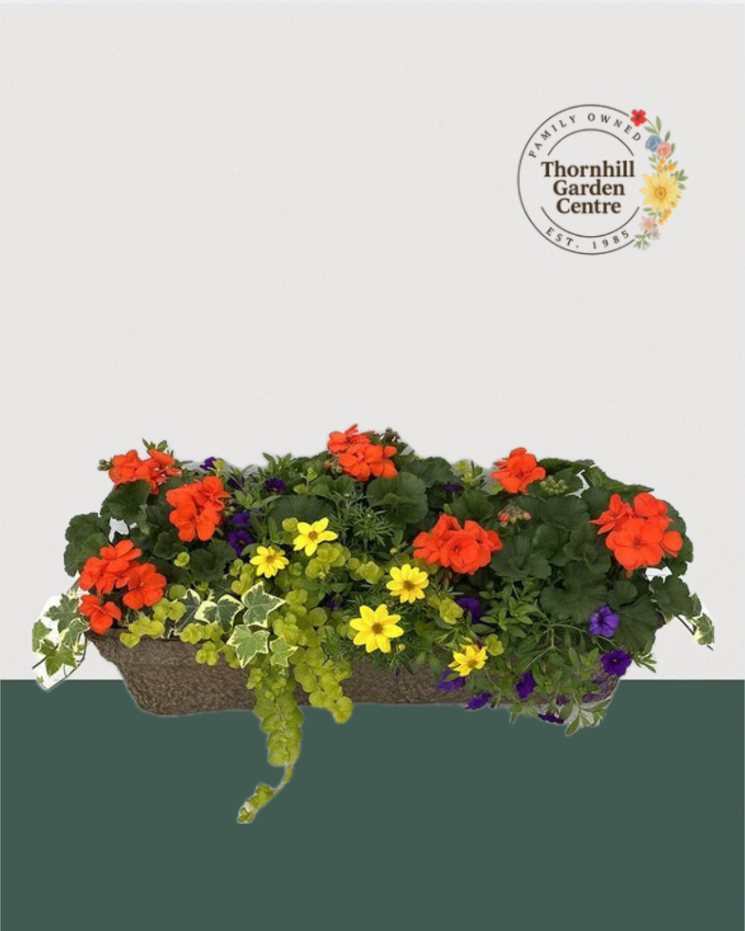 24" Fibre Premium Mixed Sun Window Box - Summer Blaze Mix