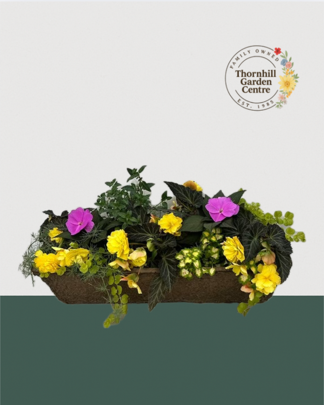 24" Fibre Premium Mixed Shade Window Box - Lemonberry Swirl Mix
