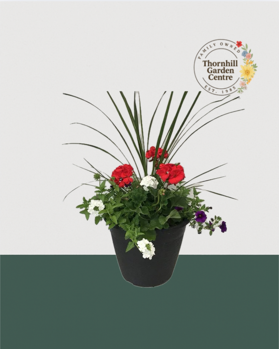 13" Round Premium Sun Mixed Planter – Red, White & Plum Accent