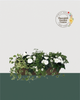24" Fibre Premium Mixed Sun Window Box - White Whisper Mix