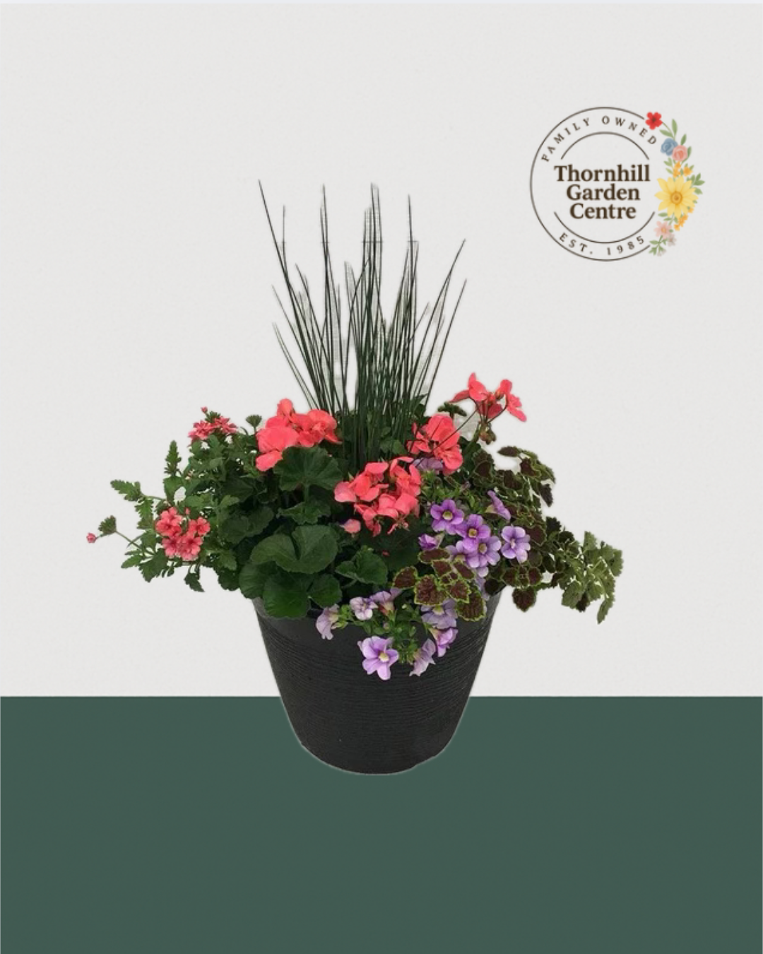 13" Round Premium Sun Mixed Planter – Coral & Lavender Blend