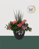 13" Round Premium Sun Mixed Planter – Coral & Lavender Blend