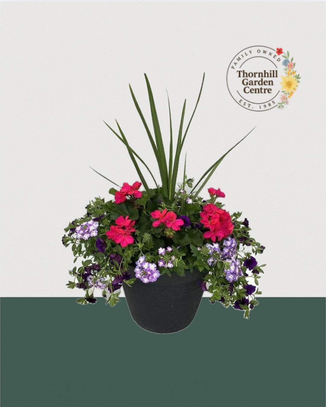 13" Round Premium Sun Mixed Planter – Fuchsia & Violet Bloom Mix