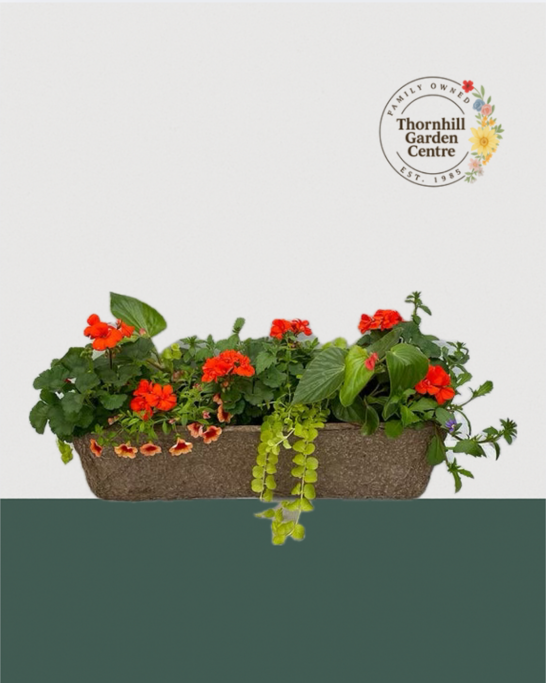 24" Fibre Premium Mixed Sun Window Box - Flameburst Mix