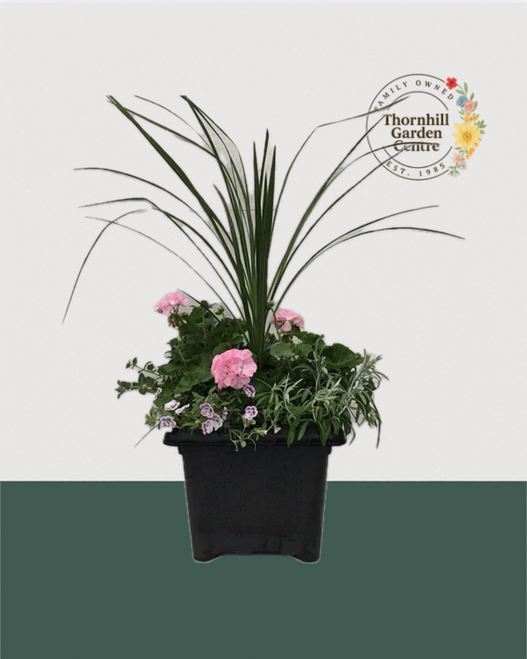 14" Square Premium Mixed Sun Planter - Blush Breeze Mix