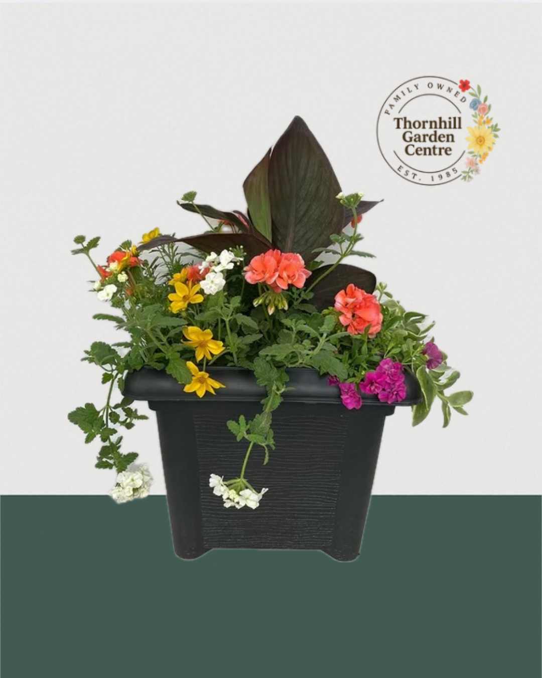 14" Square Premium Mixed Sun Planter - Sunrise Radiance
