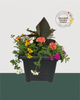 14" Square Premium Mixed Sun Planter - Sunrise Radiance