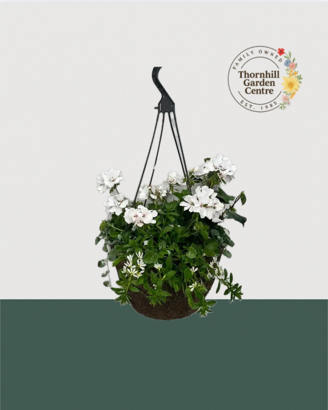 12" Fibre Premium Sun Mixed Hanging Basket  - White Classic