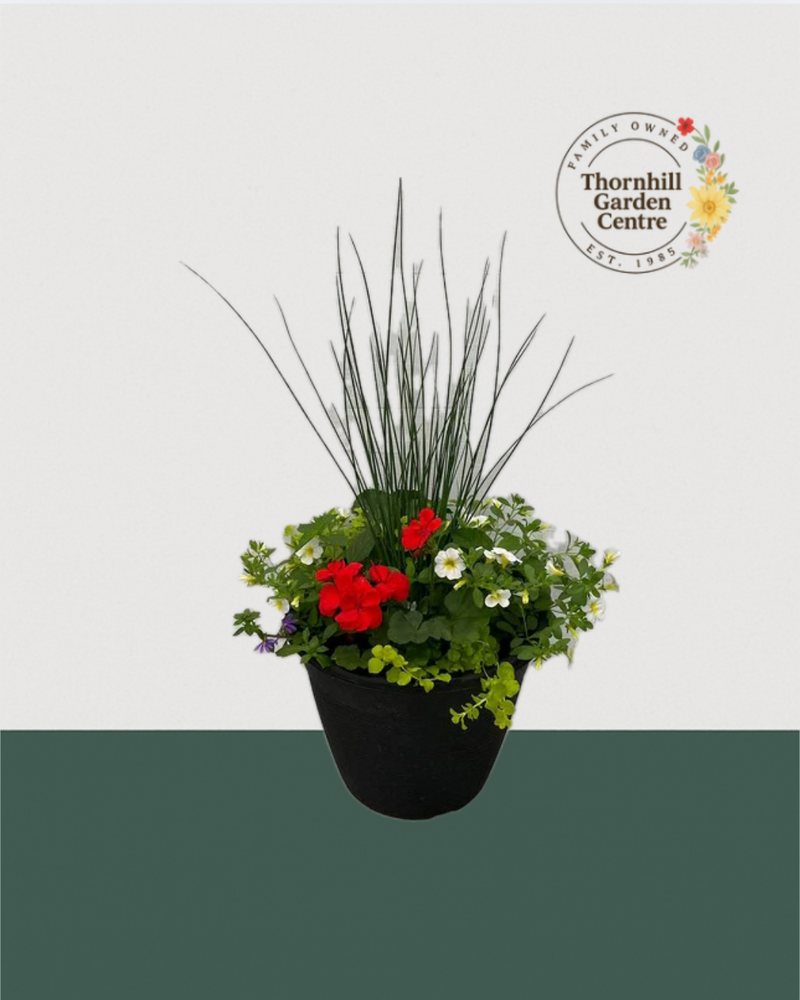 13" Round Premium Mixed Sun Planter - Red & White Elegance