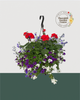 12" Fibre Premium Sun Hanging Basket - Royal Radiance Mix