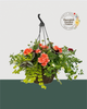 12" Fibre Premium Mixed Sun Hanging Basket - Sunny Daze