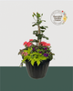 18" Mega Preium Mixed Planter - Tropical Bloom Edition