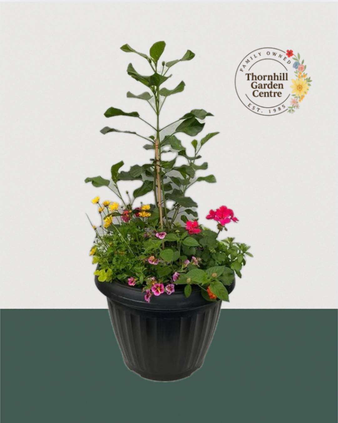 18" Mega Premium Mixed Planter - Hibiscus centre piece