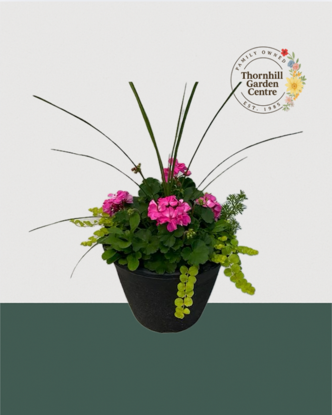 13" Round Premium Mixed Sun Planter - Bright Pink & Chartreuse