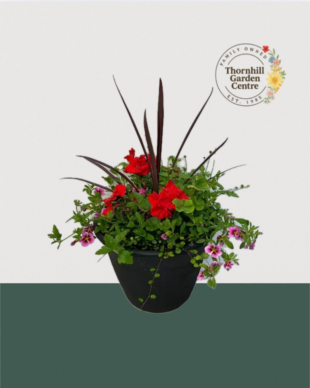 13" Round Premium Mixed Sun Planter - Red & Burgundy