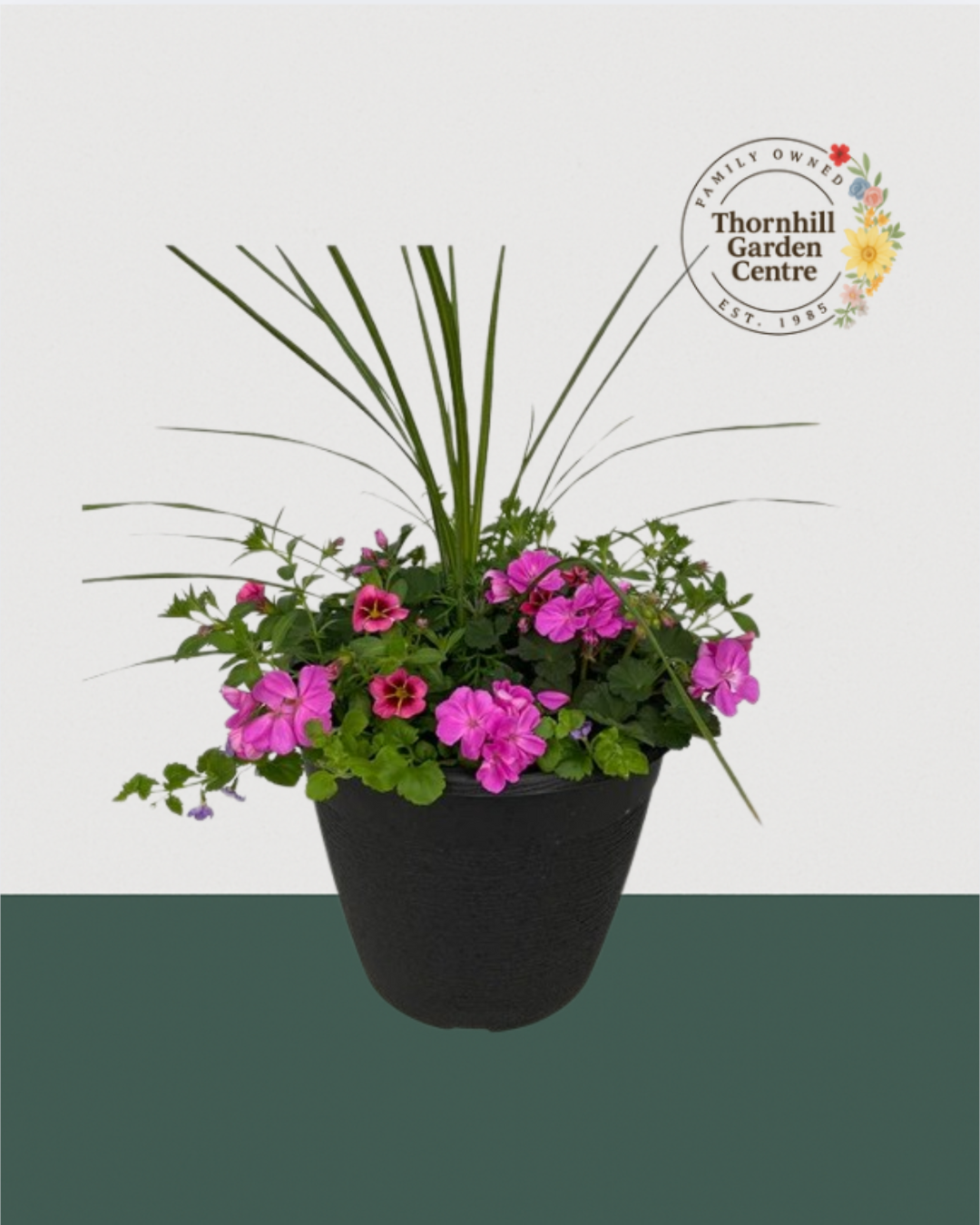 13" Round Premium Mixed Sun Planter - Pink & Purple Hues