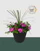 13" Round Premium Mixed Sun Planter - Pink & Purple Hues