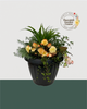 18" Mega Premium Mixed Shade Planter - Soft Peach & Lush Green Elegance