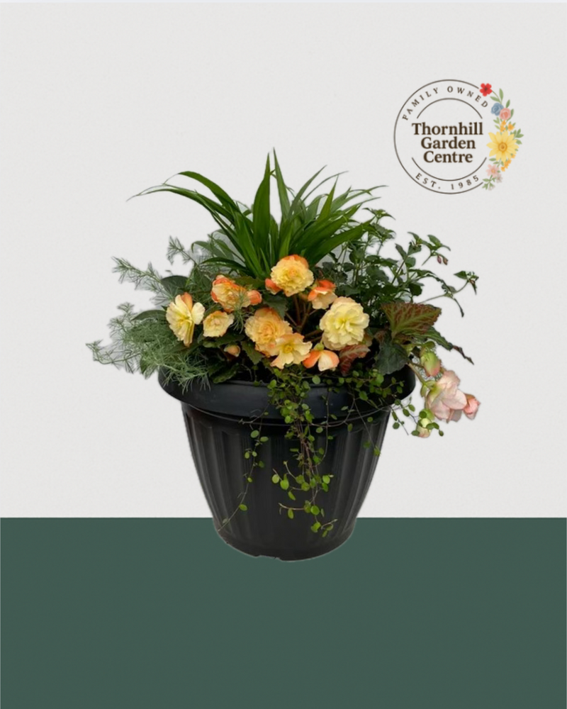 18" Mega Premium Mixed Shade Planter - Soft Peach & Lush Green Elegance