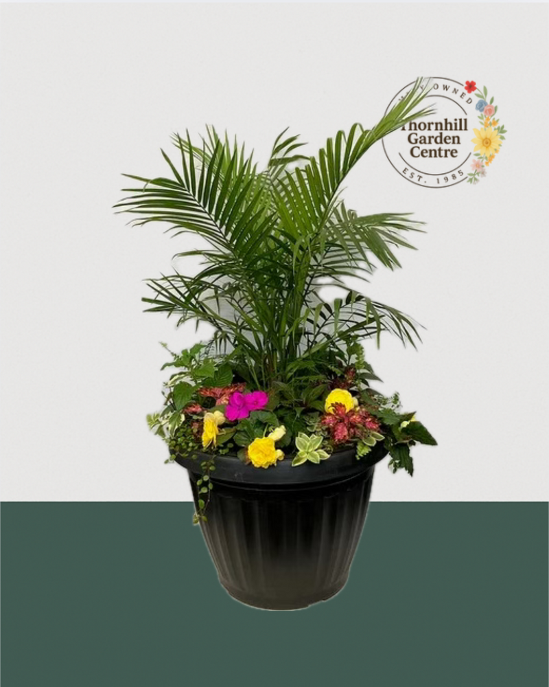 18" Mega Premium Mixed Shade Planter - Tropical Elegance