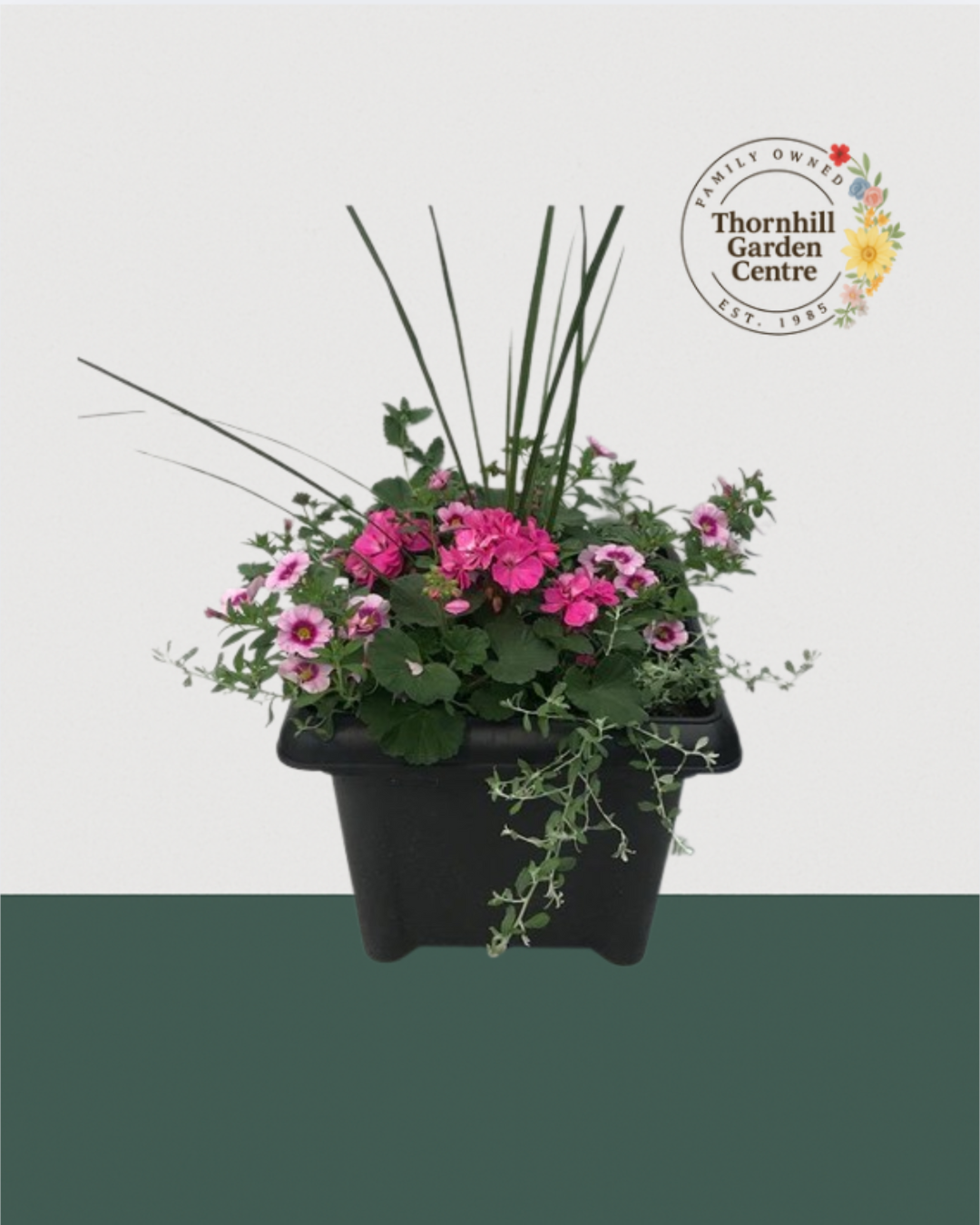 14" Square Premium Mixed Sun Planter - Bold Pink & Soft Lavender
