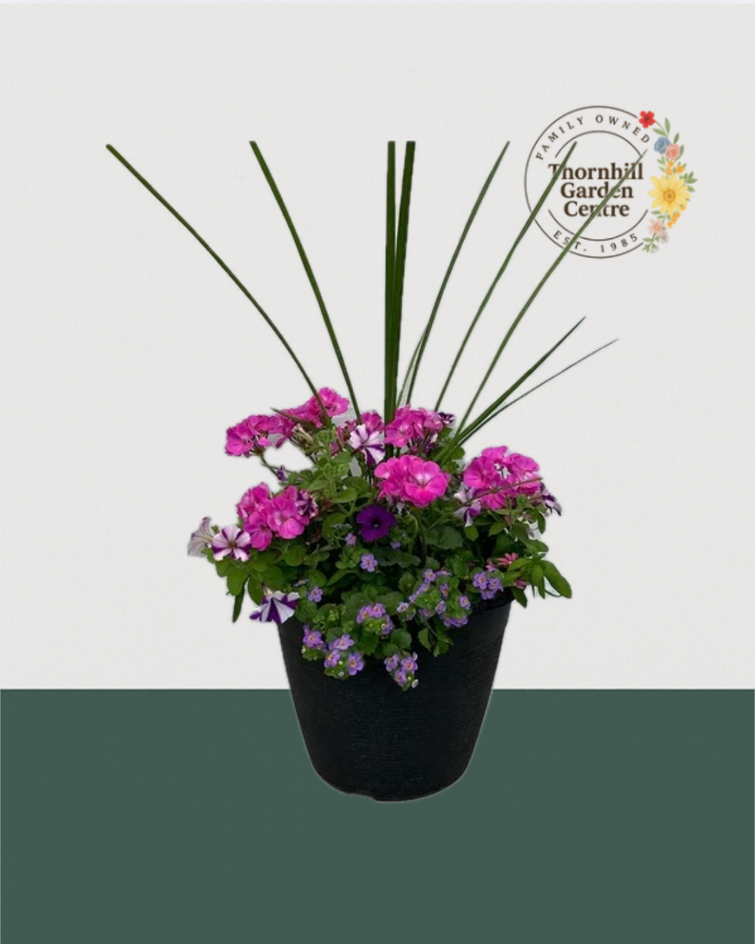 13" Round Premium Mixed Sun Planter - Deep Jungle Green &  Mystic Purple