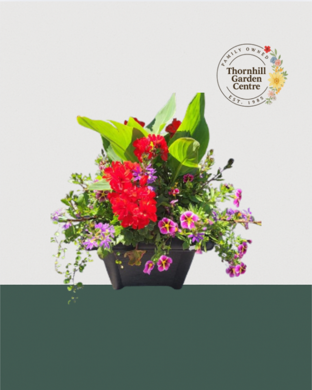 14" Square Premium Mixed Sun Planter - Firecracker Snap Mix