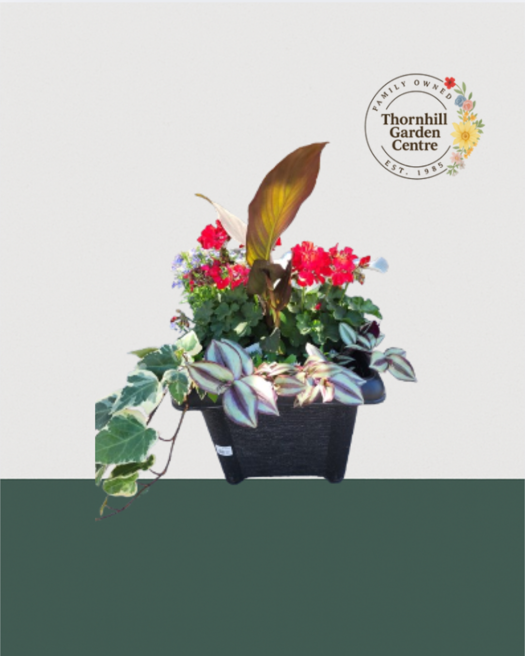 14" Square Premium Mixed Sun Planter - Bronze Cascade Mix