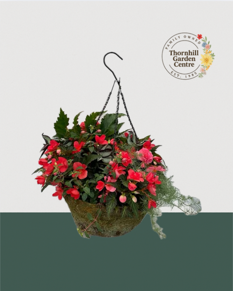 16" Premium Moss Shade Hanging Basket – Crimson Cascade