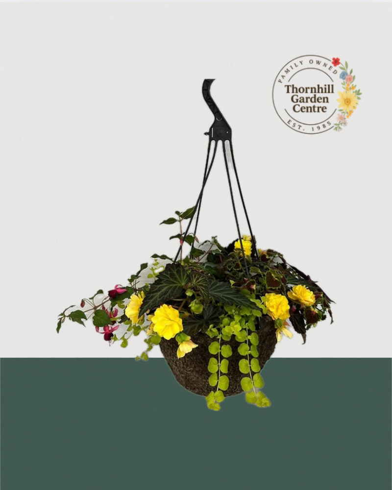 12" Premium Fibre Shade Hanging Basket – Lemon Glow