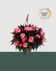 10" Premium Sun/Shade Hanging Basket - Coral Charm