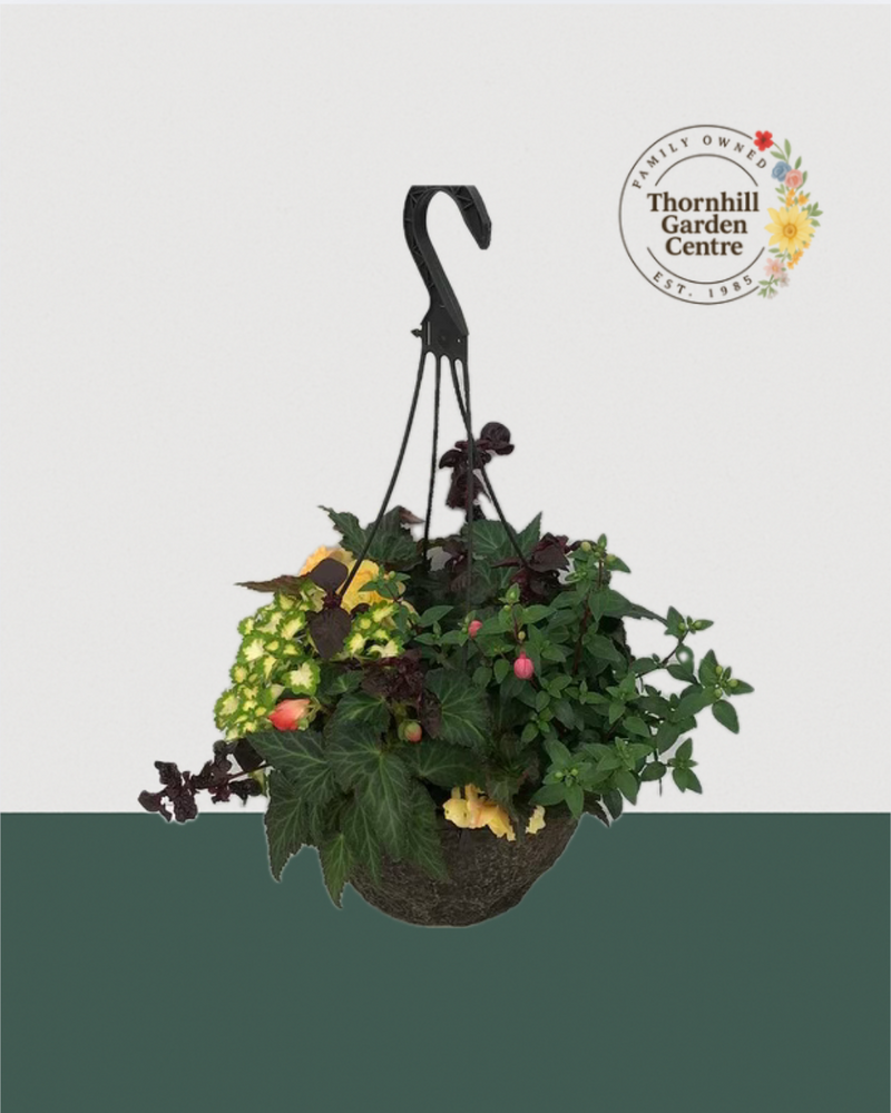 12" Premium Fibre Shade Hanging Basket – Woodland Glow