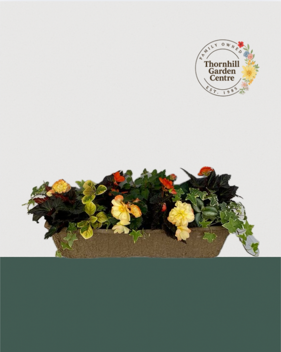 24" Premium Fibre Shade Window Box – Golden Glow