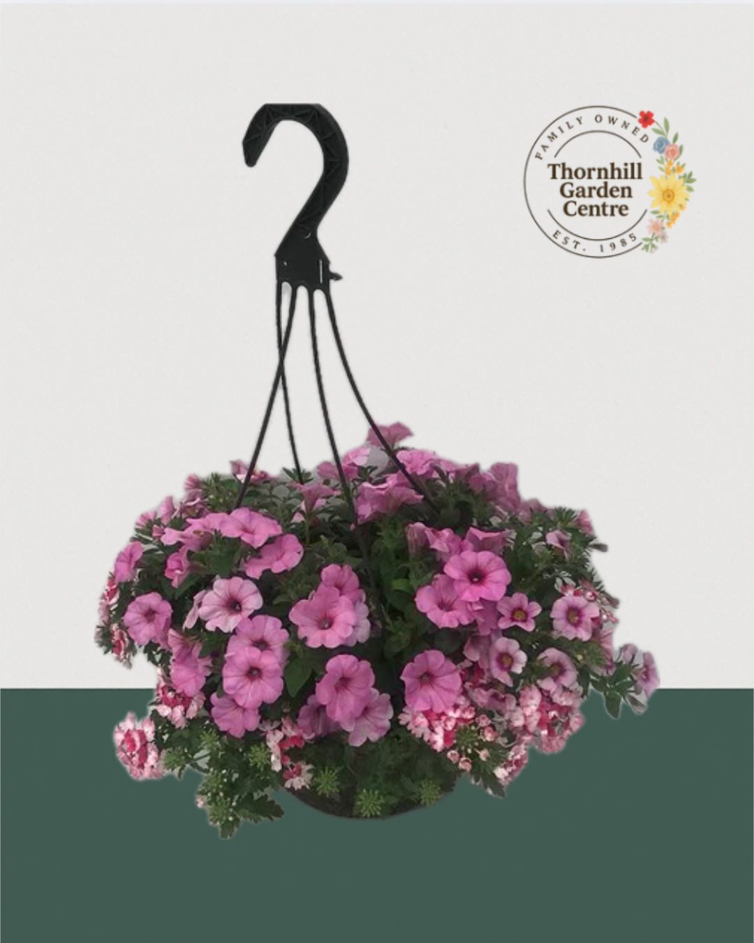 12" Fibre Premium Sun Hanging Basket - Berry Sorbet Mix